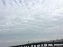 -演武大桥观景平台