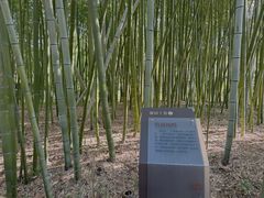 -汇龙潭