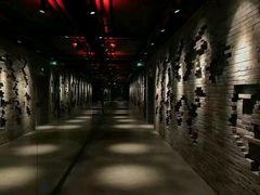 -威尔仕健身(丁香国际店)