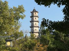 -江心屿景区