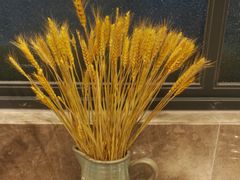 -比格比萨自助(万柳华联店)