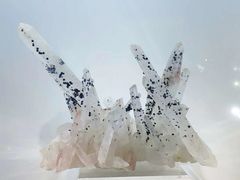 -中国地质大学逸夫博物馆