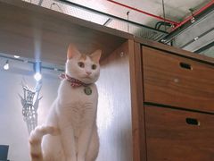 -绿雅居原生态农庄(小涌店)