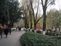 -温江公园