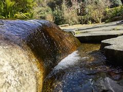 -雁南飞茶田景区