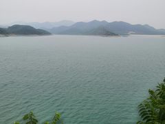 -望湖烤鱼