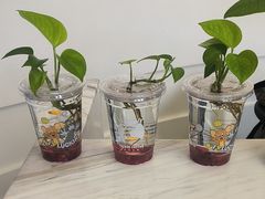 -卓尔美笑口腔·种植·矫正·儿童颜面管理(辽宁街店)