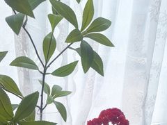 -糖房咖啡(南锣鼓巷店)