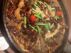 -老板恋上鱼(印象城店)