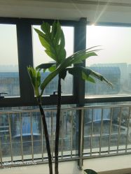 -HEYAN荷妍专业脱毛连锁机构