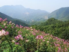 -妙峰山风景名胜区