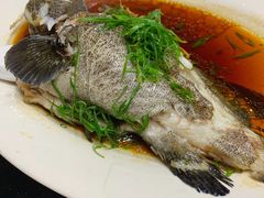 -桂哥海鲜城