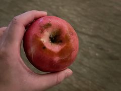 -西双版纳融创皇冠假日度假酒店