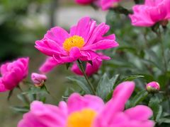 -合肥三国新城遗址公园