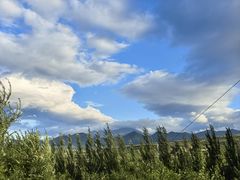 -中华三祖圣地黄帝城遗址文化旅游区
