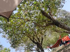 -黄金海岸环岛路