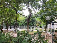 -九龙公园
