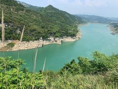 -武陵山森林公园