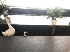 -眉州东坡(通州店)
