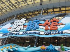 -海合安成都极地海洋公园