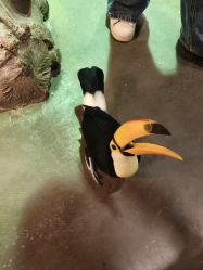 -Zoolung Zoolung动物主题公园(海信广场店)