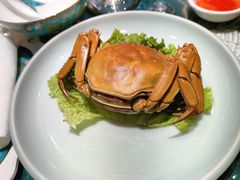 -惠丰堂饭庄(北洼路店)