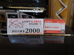 -柏斯琴行(汾阳店)