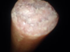 -全家便利店(广灵一路店)