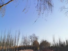 -大兴滨河森林公园