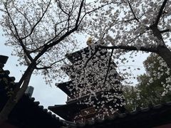 -寒山寺