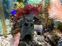 -太平洋海底世界