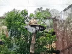 -沈阳森林动物园