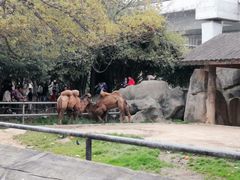 -南昌动物园