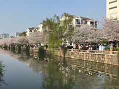 -常熟方塔园
