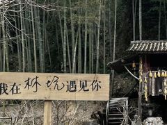 -林坑古村落
