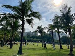 -深圳龙潭公园