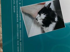 -美联众合动物医院·24h转诊中心