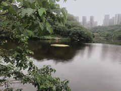 -重庆彩云湖湿地公园