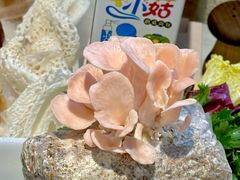 -名善山珍·野生菌汤锅(文殊院店)
