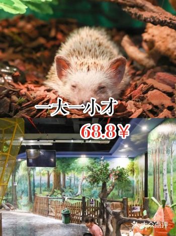 天气凉爽，外面没有了火辣辣的太阳，小朋友们是不是已经