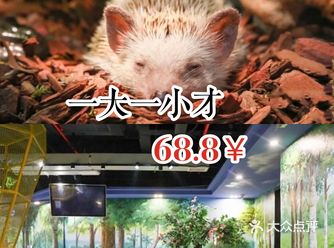 天气凉爽，外面没有了火辣辣的太阳，小朋友们是不是已经