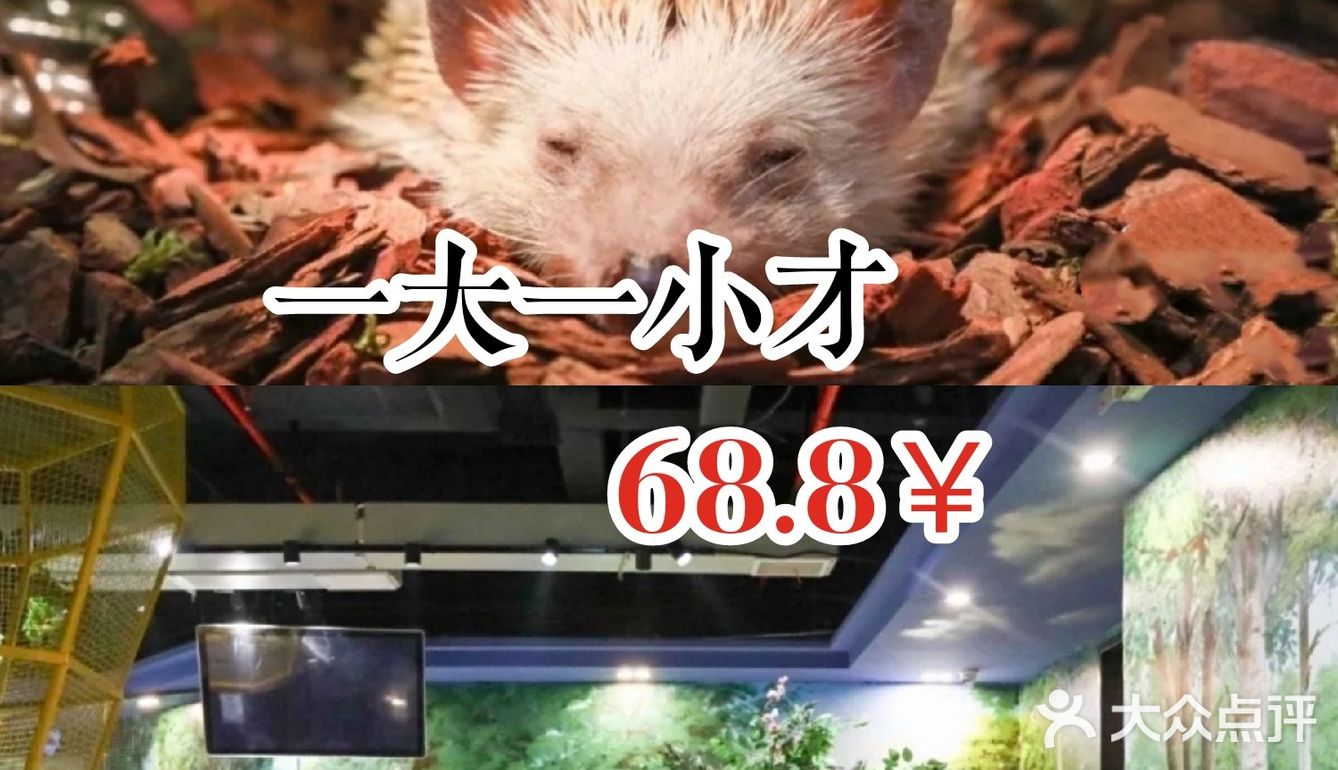 一大一小才68.8￥