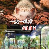 一大一小才68.8￥