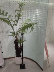 点击看大图 -碧莲盛·脱发养发中心