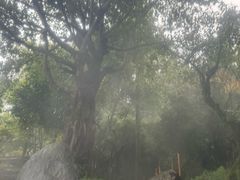 -黄瓜箐温泉疗养院