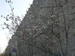 -东华门大街小区