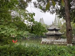 -习家池