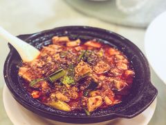 -陈麻婆豆腐总店