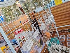 -蓝湾碧波·老字号·疍家非遗海上餐厅