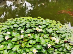 -金银湖国家城市湿地公园